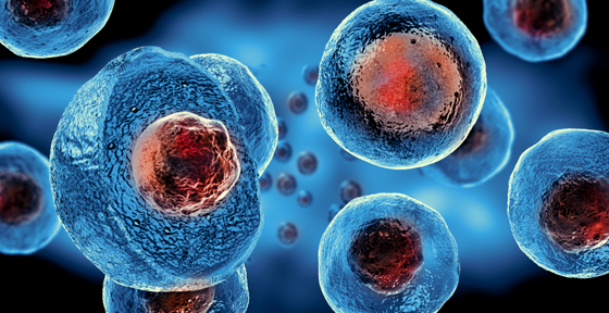 Stem Cell Therapy